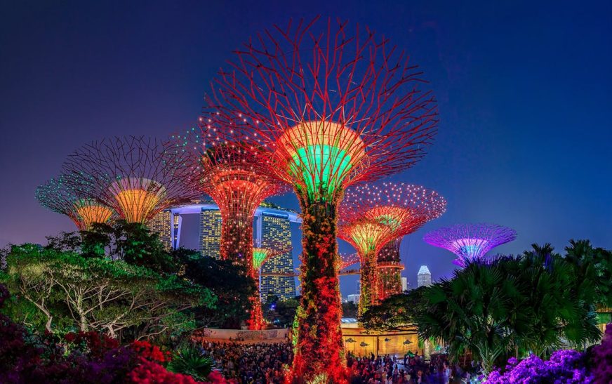 Supertree Grove Light Show: 10 Reasons Why It Will Leave You Speechless