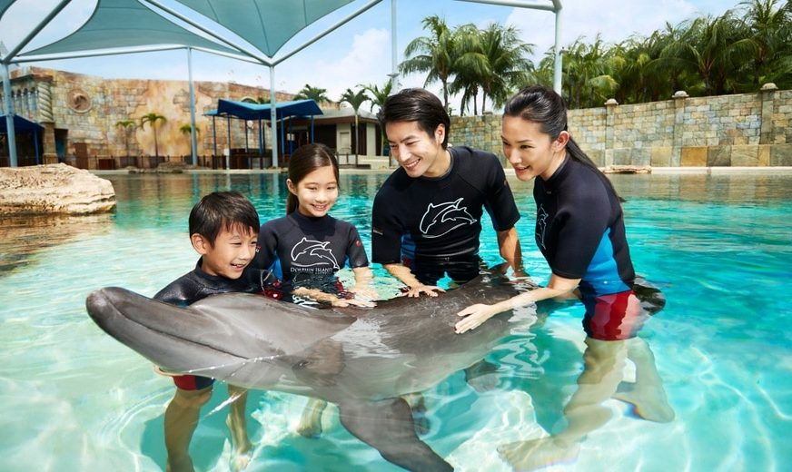 Dolphin Island Sentosa: 10 MustKnow Tips for an Amazing Visit