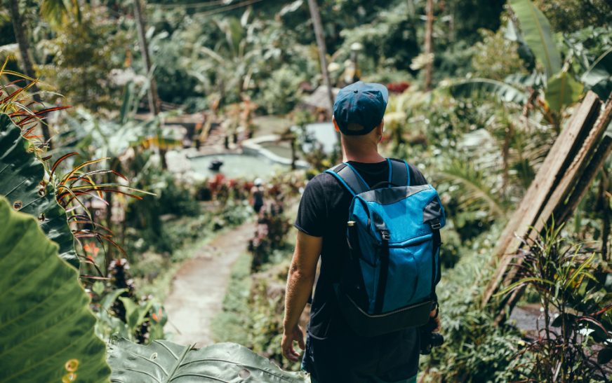 Imbiah Nature Trail Adventures: Explore Sentosa’s Wilderness