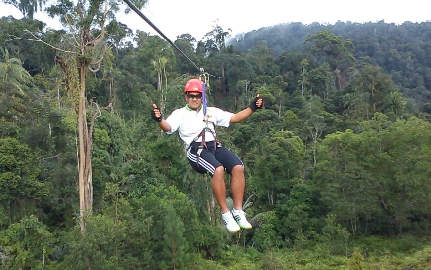 Flying Fox Activity