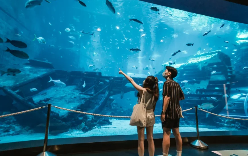 SEA Aquarium Rediscover Voucher: 10 Must-See Marine Wonders