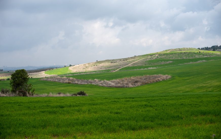 Hayfield Derbyshire