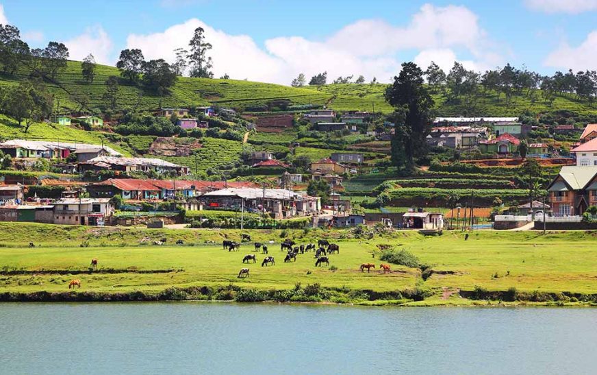 Nuwara Eliya Town Sri Lanka: 10 Must See Sights for First Time Visitors