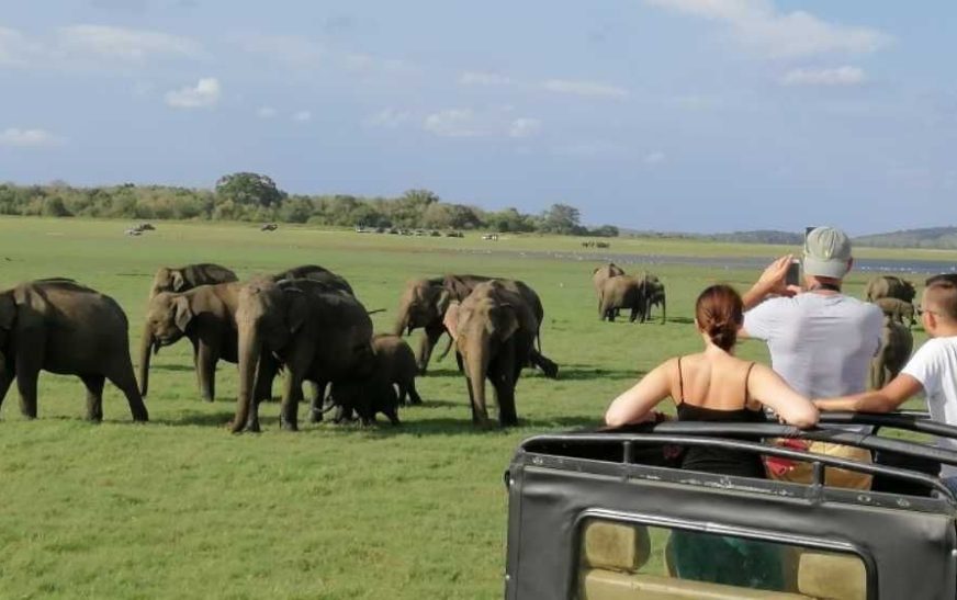 Minneriya National Park