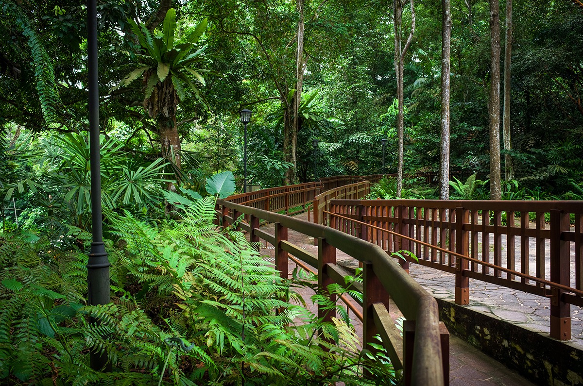 Singapore’s Best Places for Nature Lovers: 10 Stunning Outdoor Spots