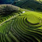 Mai Chau