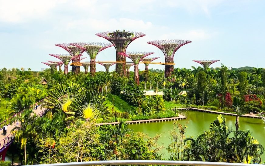 Singapore Attractions