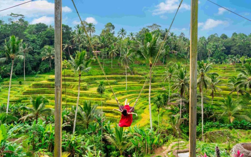 Tegalalang Rice Terrace Bali