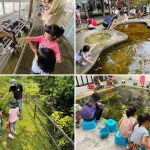 Family Friendly Activities in Singapore