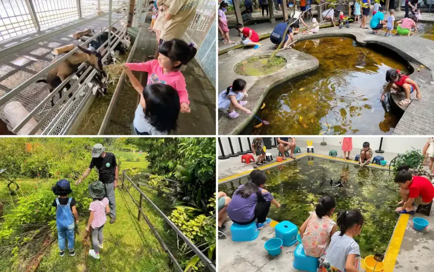 Family Friendly Activities in Singapore: 10 Fun Things to Do with Kids