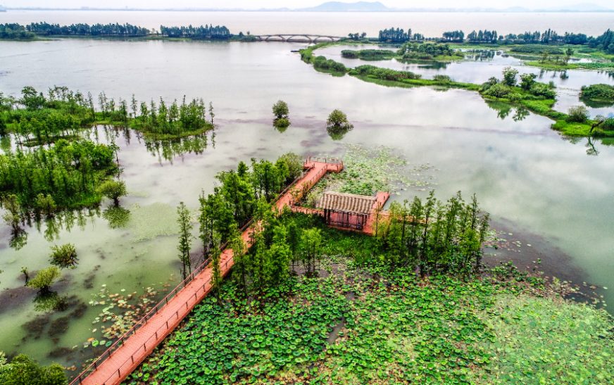 Inlay Lake Myanmar: 10 Tips for a Perfect Day Trip