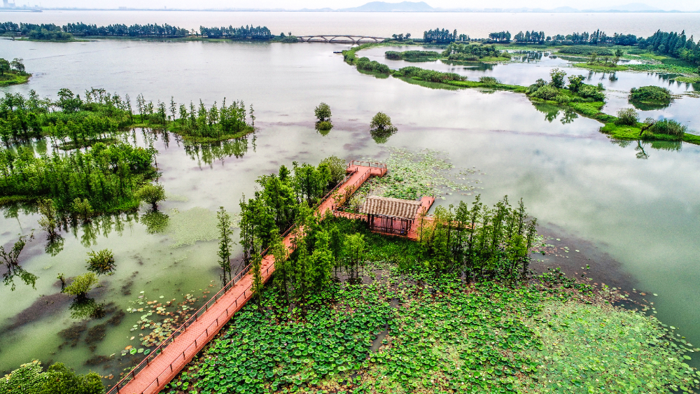 Inlay Lake Myanmar: 10 Tips for a Perfect Day Trip