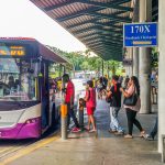 How to Take a Bus in Singapore