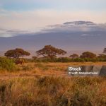 Kilimanjaro in Tanzania