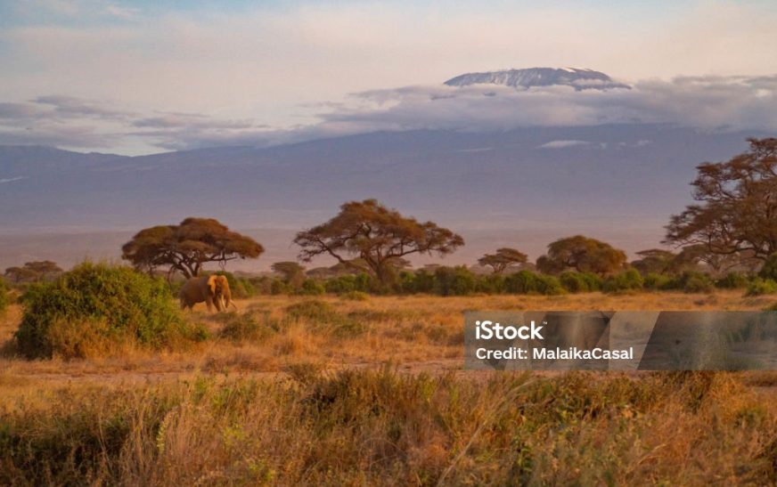 Kilimanjaro in Tanzania: 10 Incredible Facts About the Iconic Mountain