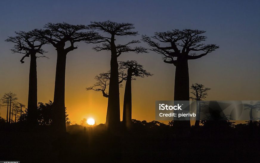 Madagascar Lugares