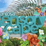 Money and SIM Cards for Tourists in Singapore