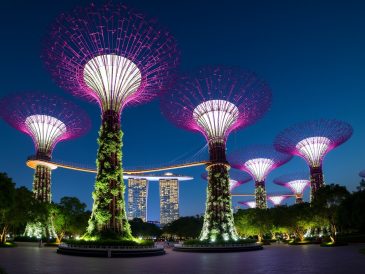 Top 10 Things to Do in Singapore